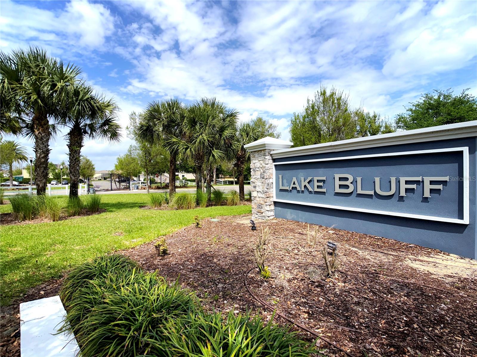 447 ARBOR LAKES DR, DAVENPORT, FL, 33896