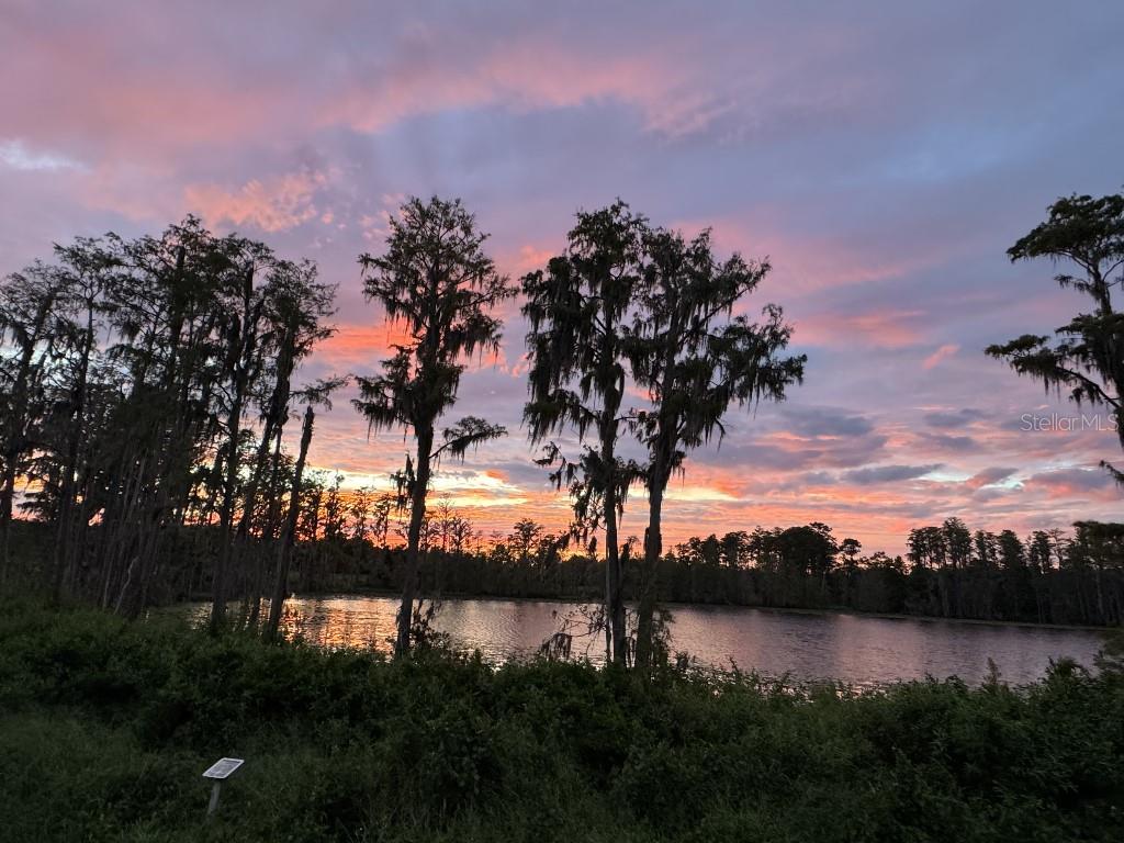 17936 ADRIFT RD, WINTER GARDEN, FL, 34787