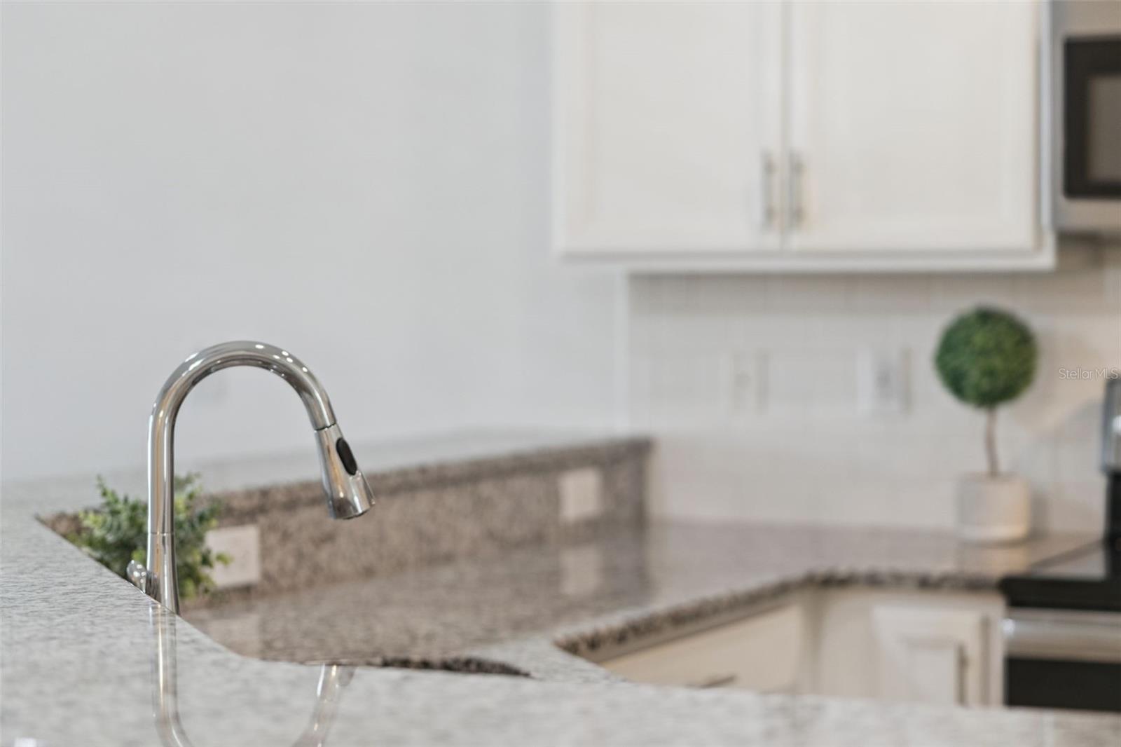 3551 FAIRWATERS CT #C, CLERMONT, FL, 34711