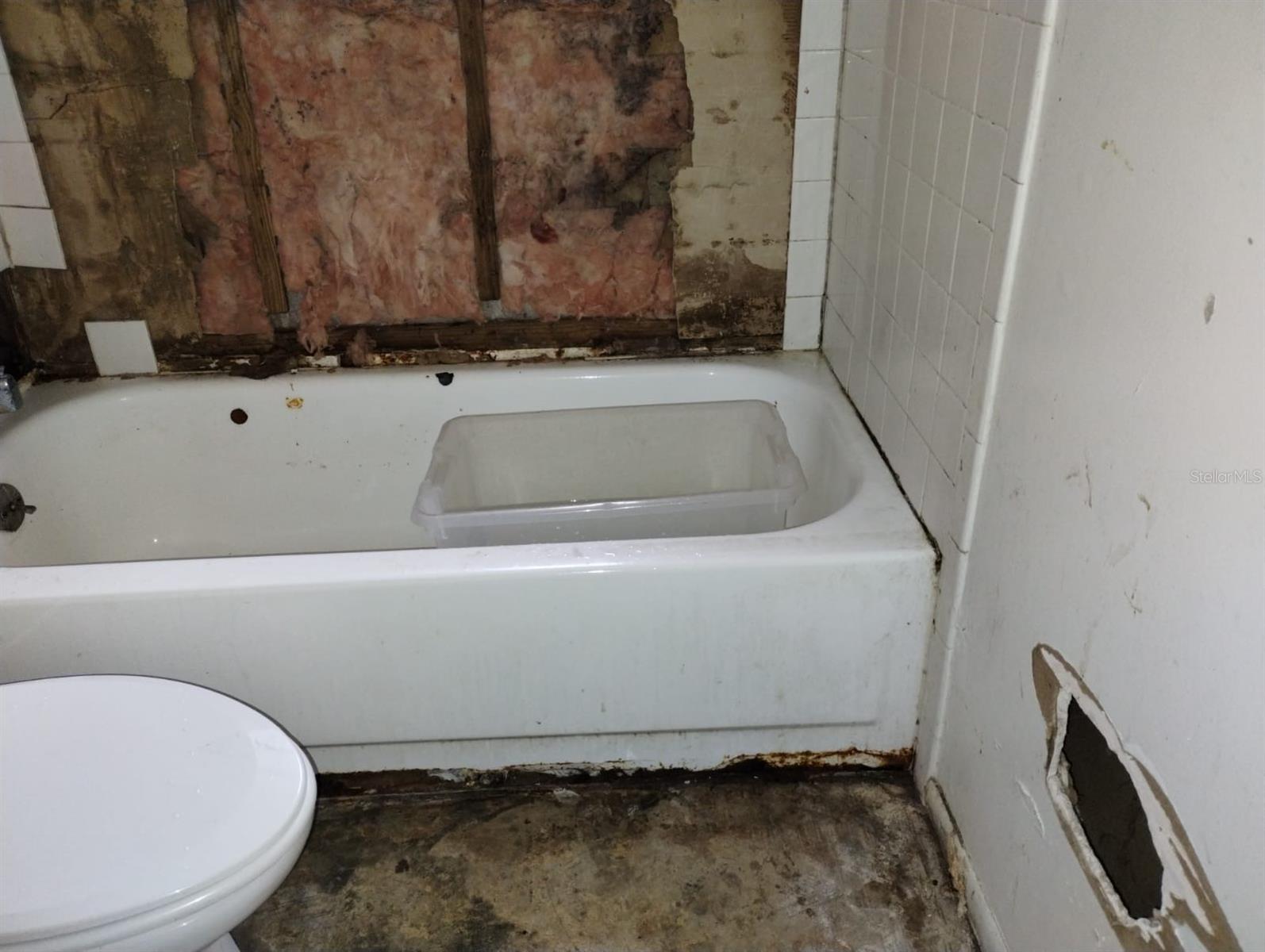 800 NICOLE BLVD, OCOEE, FL, 34761