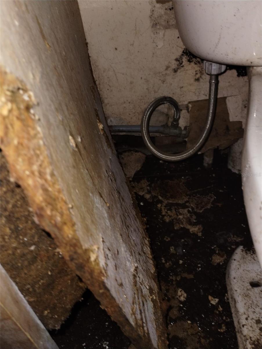 800 NICOLE BLVD, OCOEE, FL, 34761