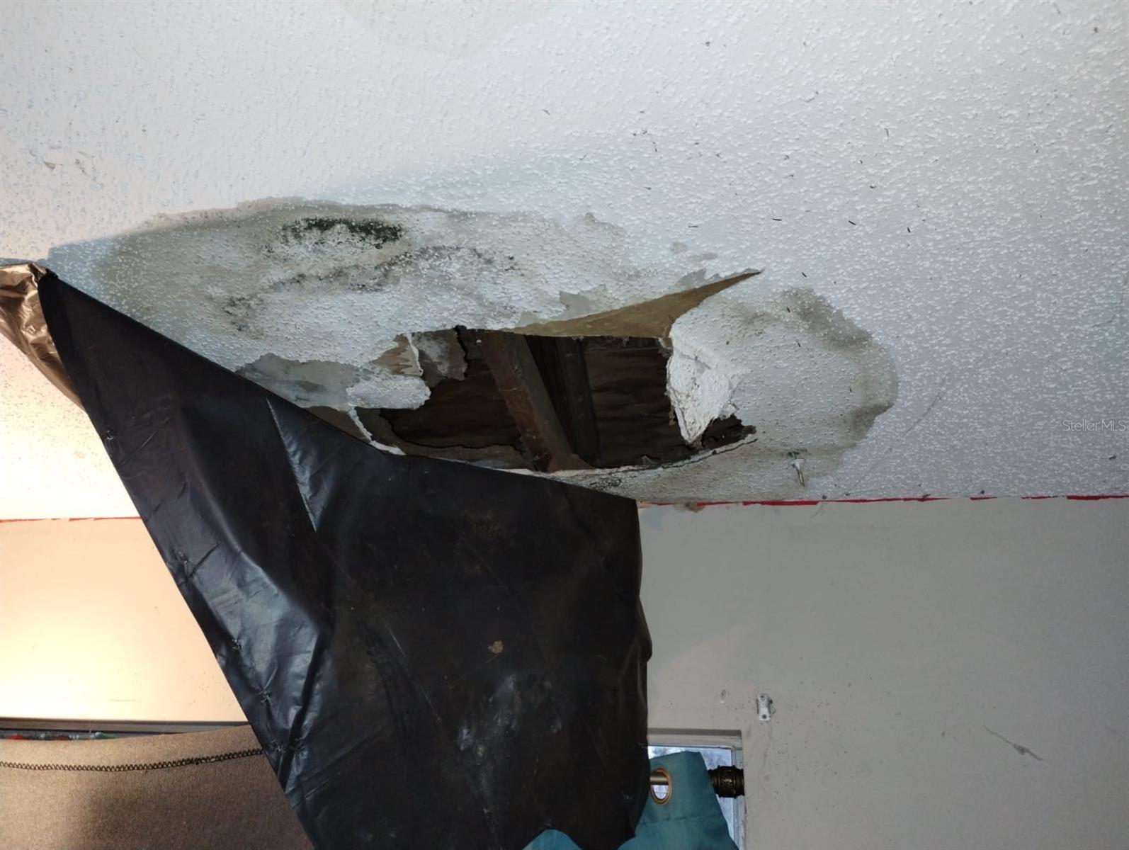 800 NICOLE BLVD, OCOEE, FL, 34761