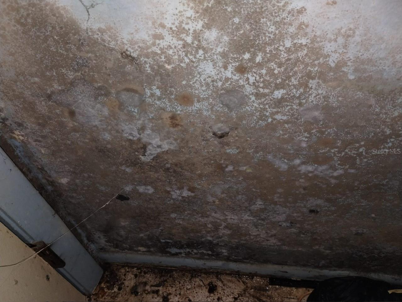 800 NICOLE BLVD, OCOEE, FL, 34761