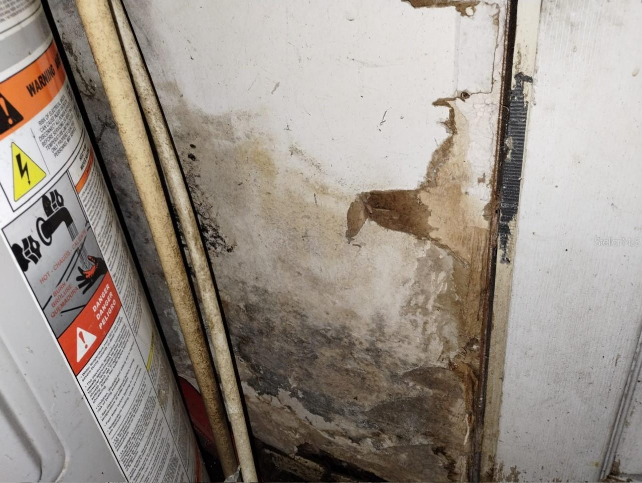 800 NICOLE BLVD, OCOEE, FL, 34761