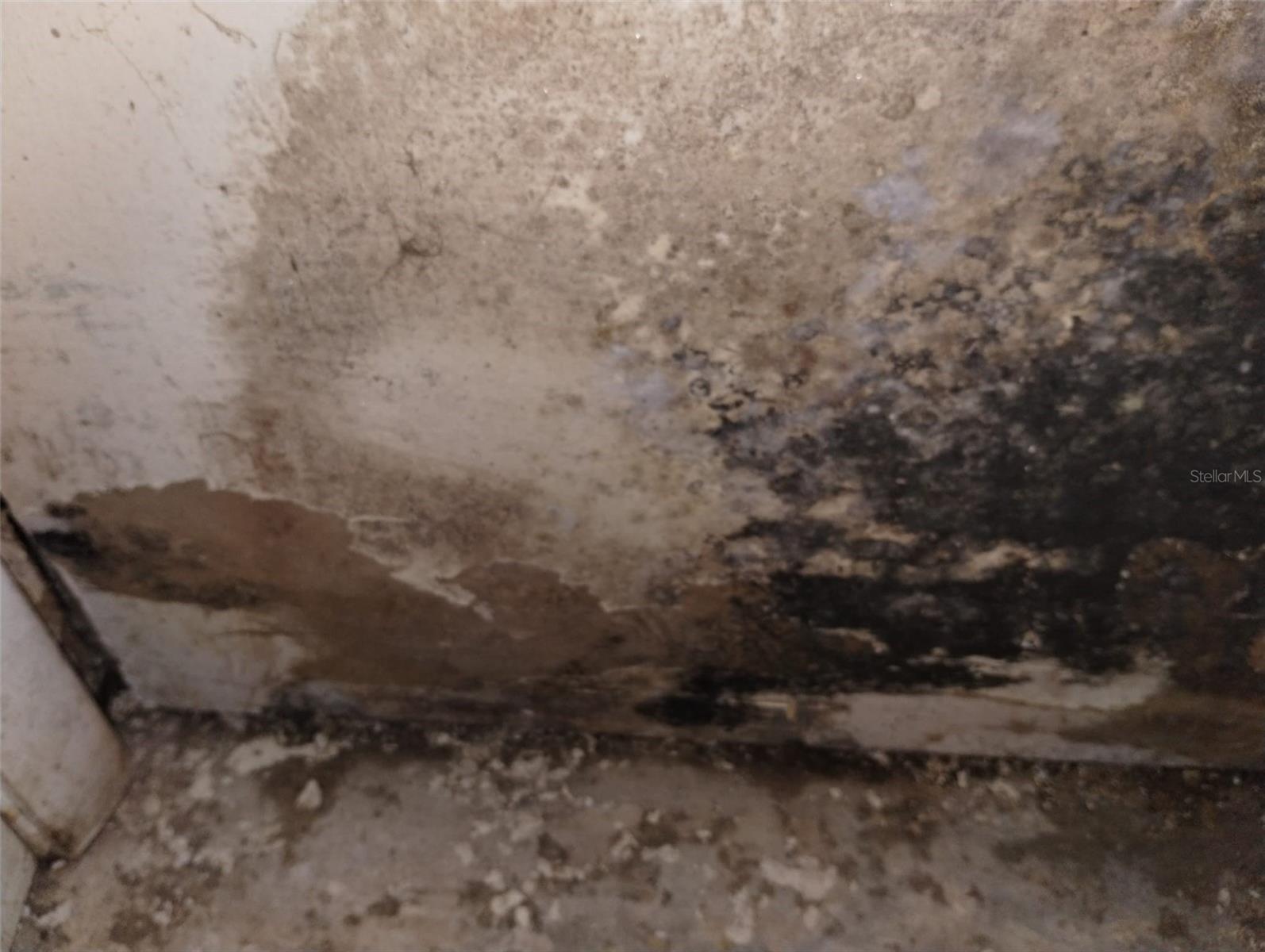 800 NICOLE BLVD, OCOEE, FL, 34761