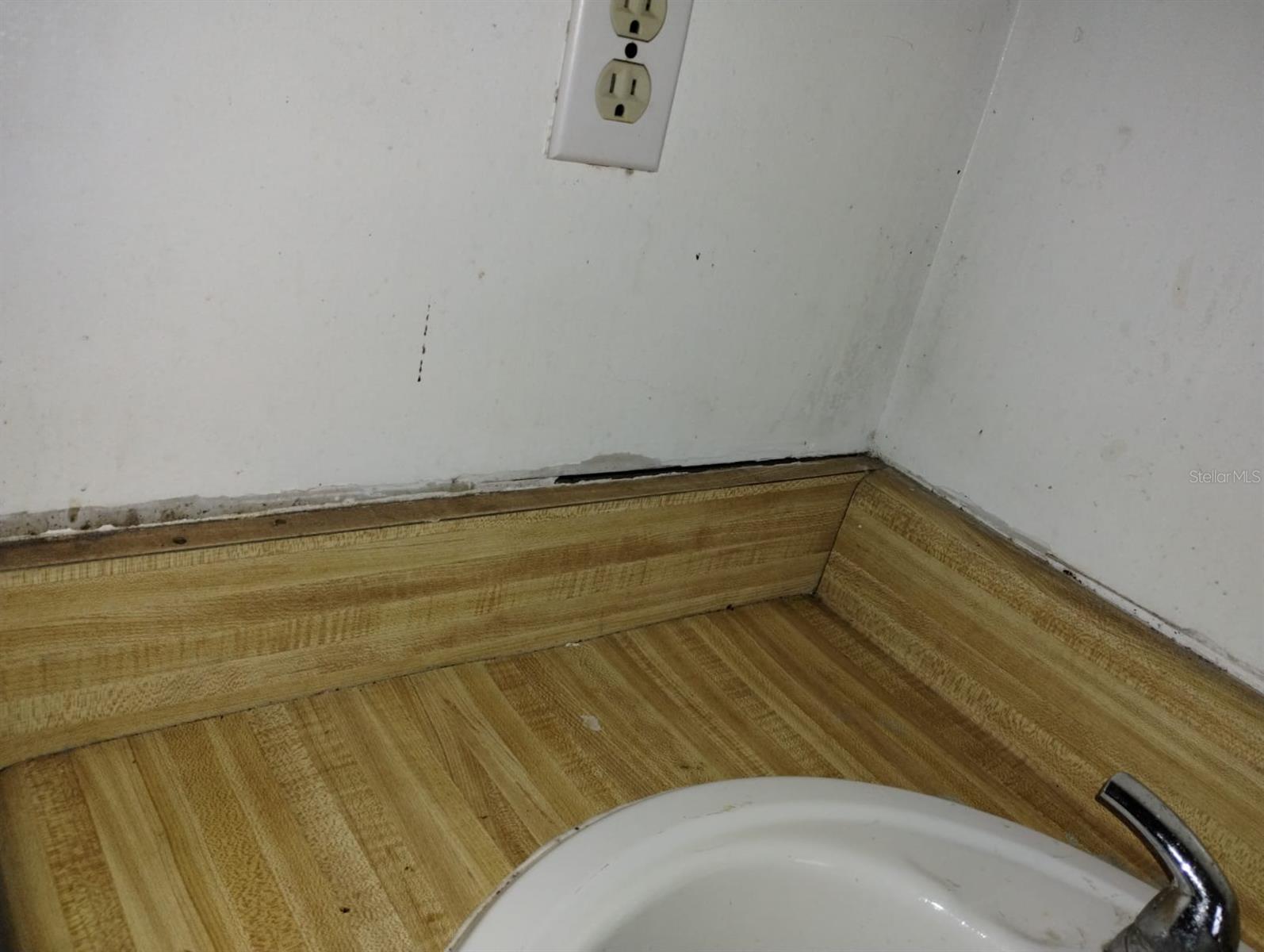 800 NICOLE BLVD, OCOEE, FL, 34761