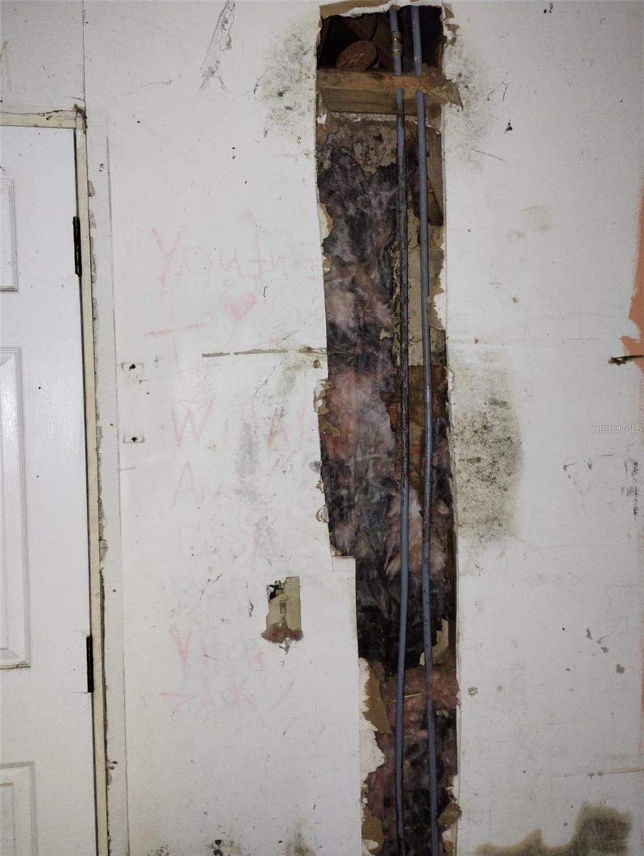 800 NICOLE BLVD, OCOEE, FL, 34761