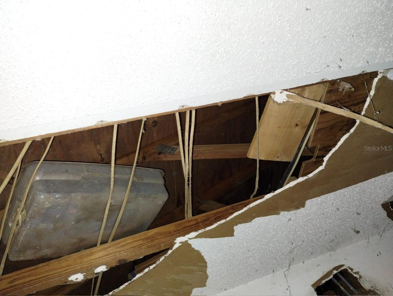 800 NICOLE BLVD, OCOEE, FL, 34761