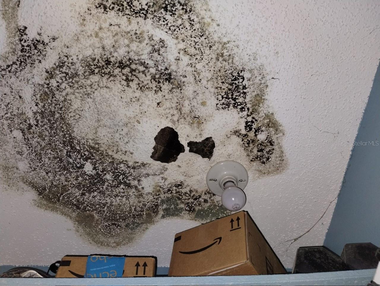 800 NICOLE BLVD, OCOEE, FL, 34761