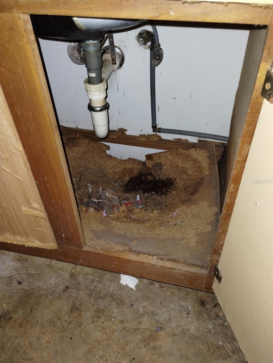 800 NICOLE BLVD, OCOEE, FL, 34761