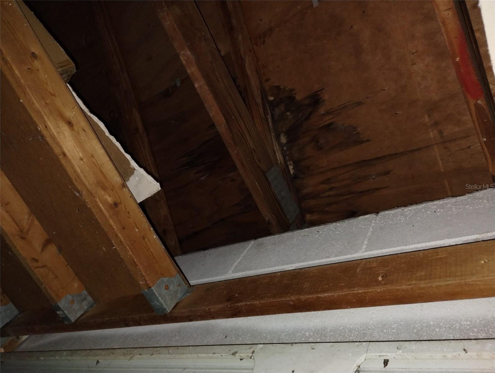 800 NICOLE BLVD, OCOEE, FL, 34761