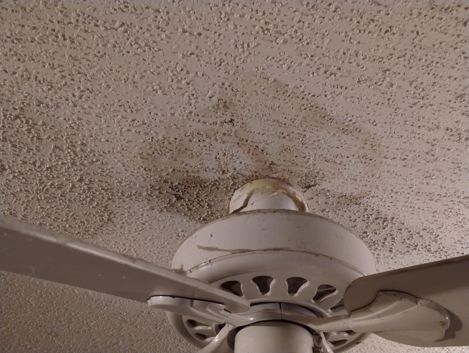 800 NICOLE BLVD, OCOEE, FL, 34761