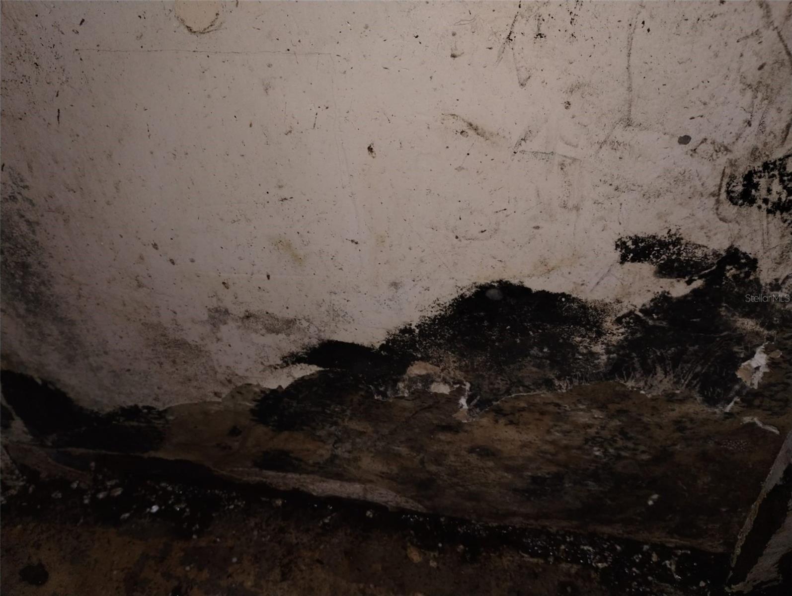 800 NICOLE BLVD, OCOEE, FL, 34761