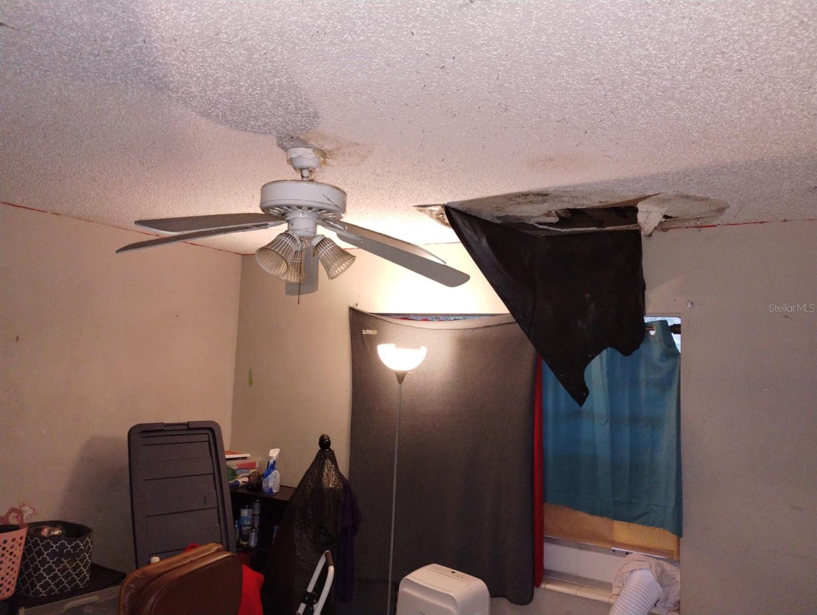 800 NICOLE BLVD, OCOEE, FL, 34761