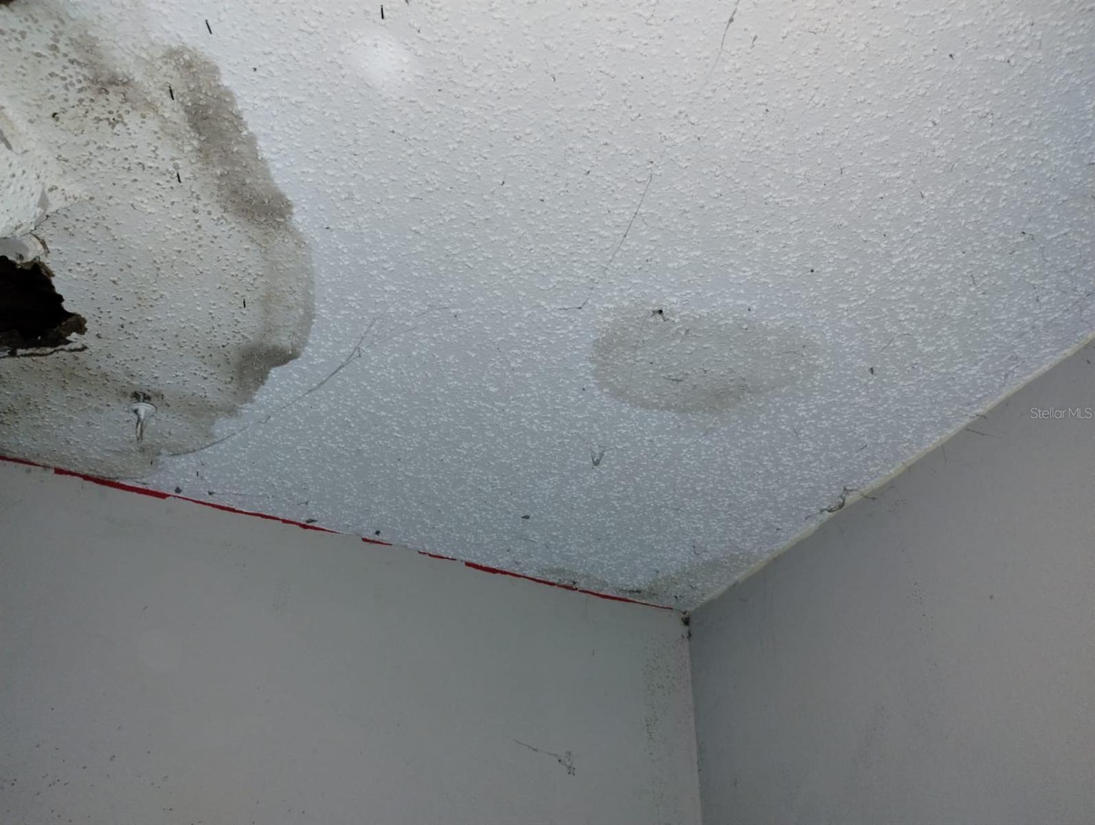 800 NICOLE BLVD, OCOEE, FL, 34761