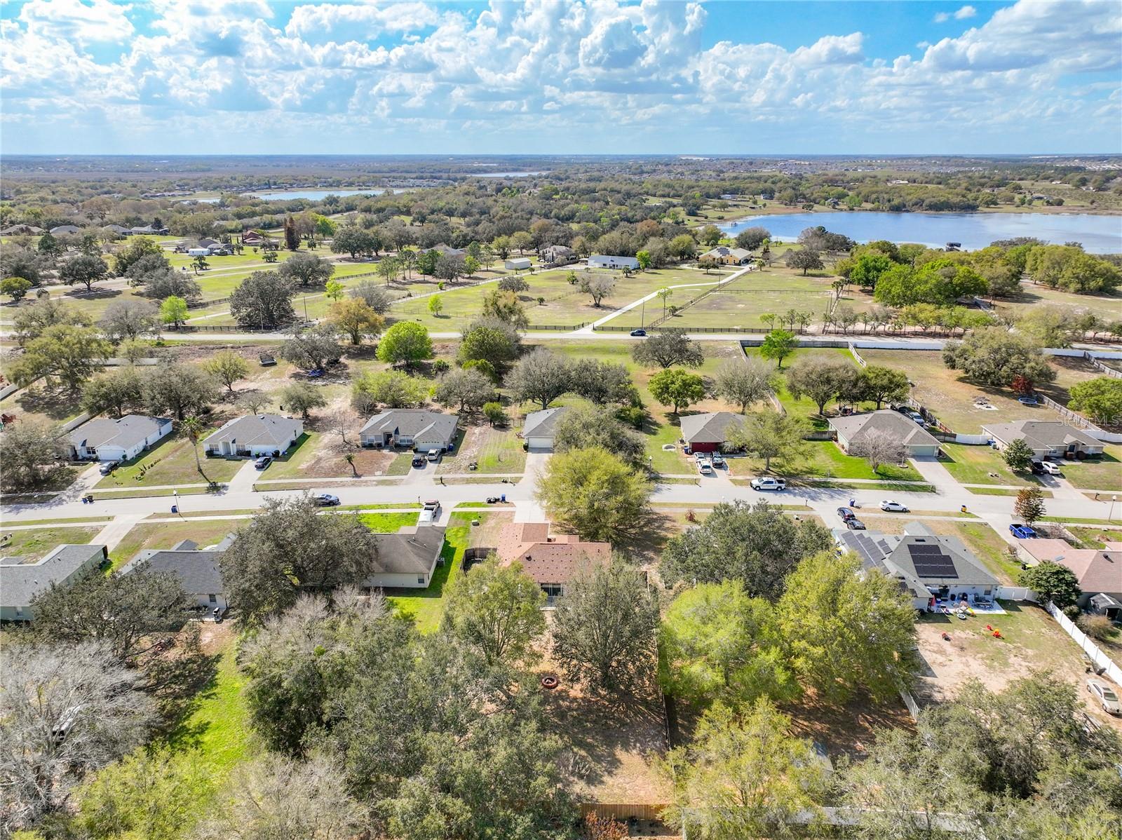 1103 LAKEVIEW OAKS DR, MINNEOLA, FL, 34715