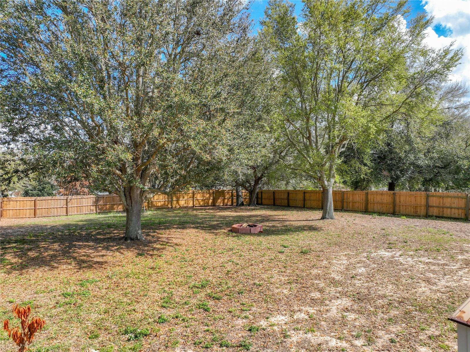 1103 LAKEVIEW OAKS DR, MINNEOLA, FL, 34715