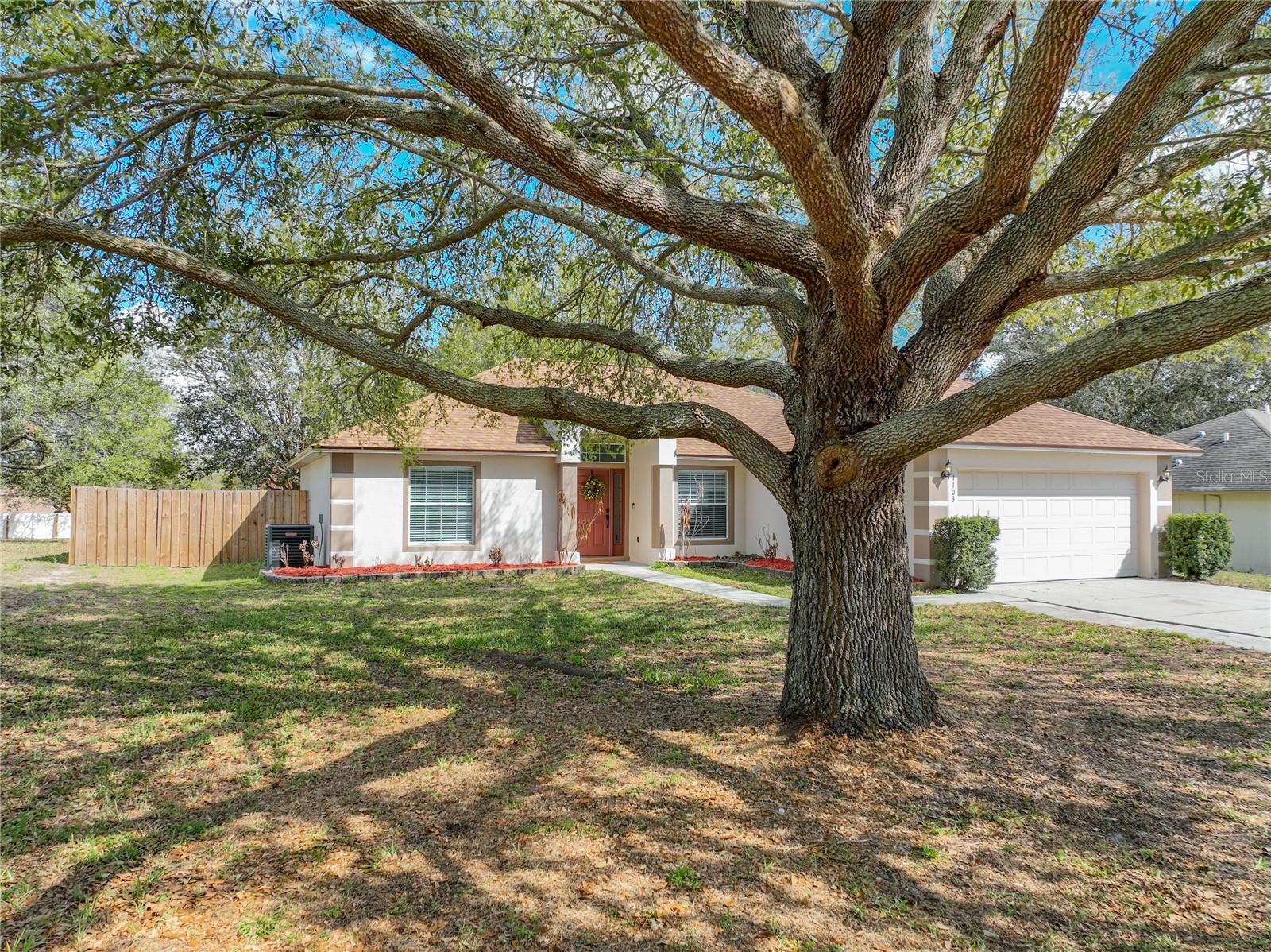 1103 LAKEVIEW OAKS DR, MINNEOLA, FL, 34715