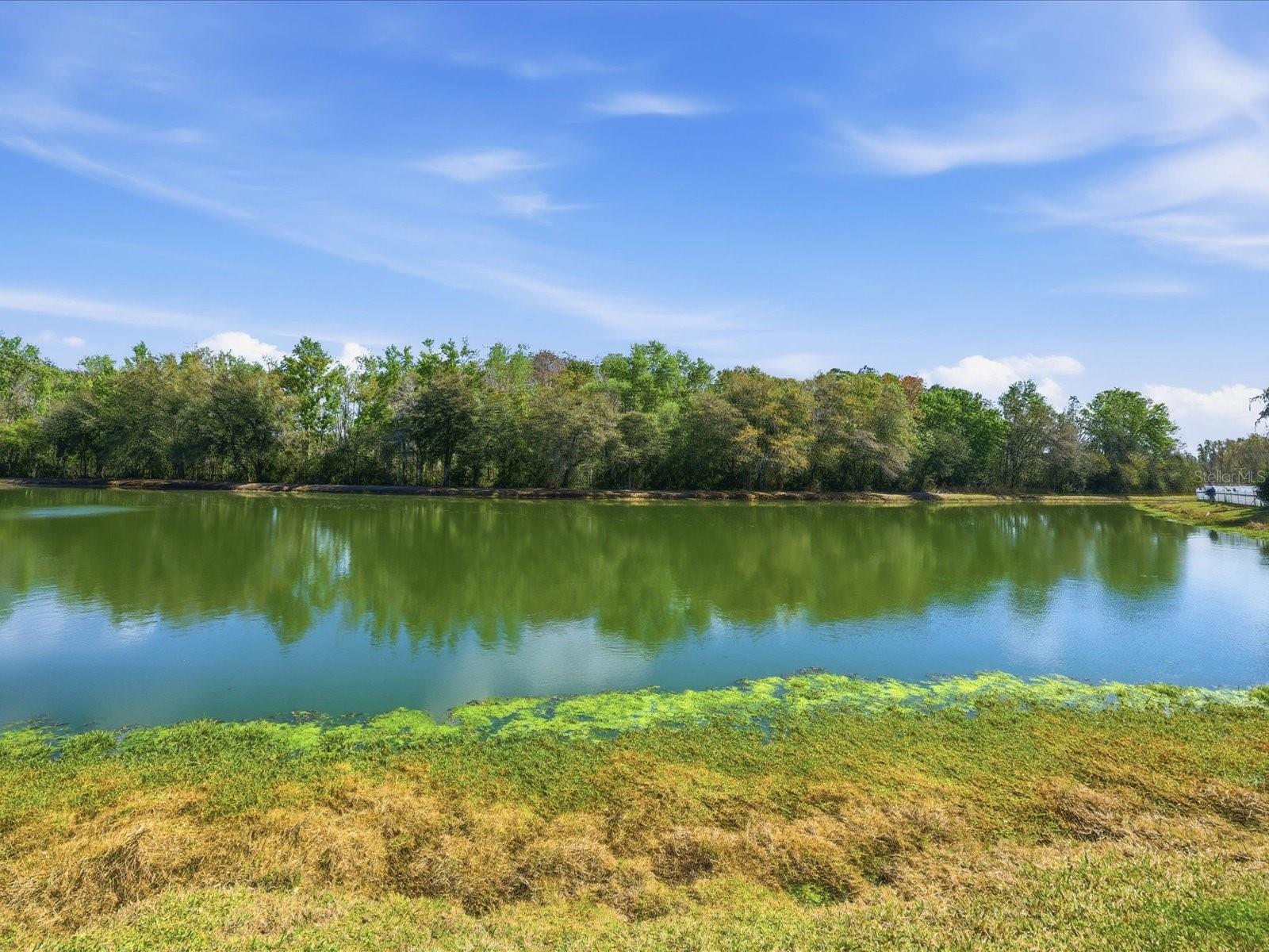 3825 GRAND FORKS DR, LAND O LAKES, FL, 34639