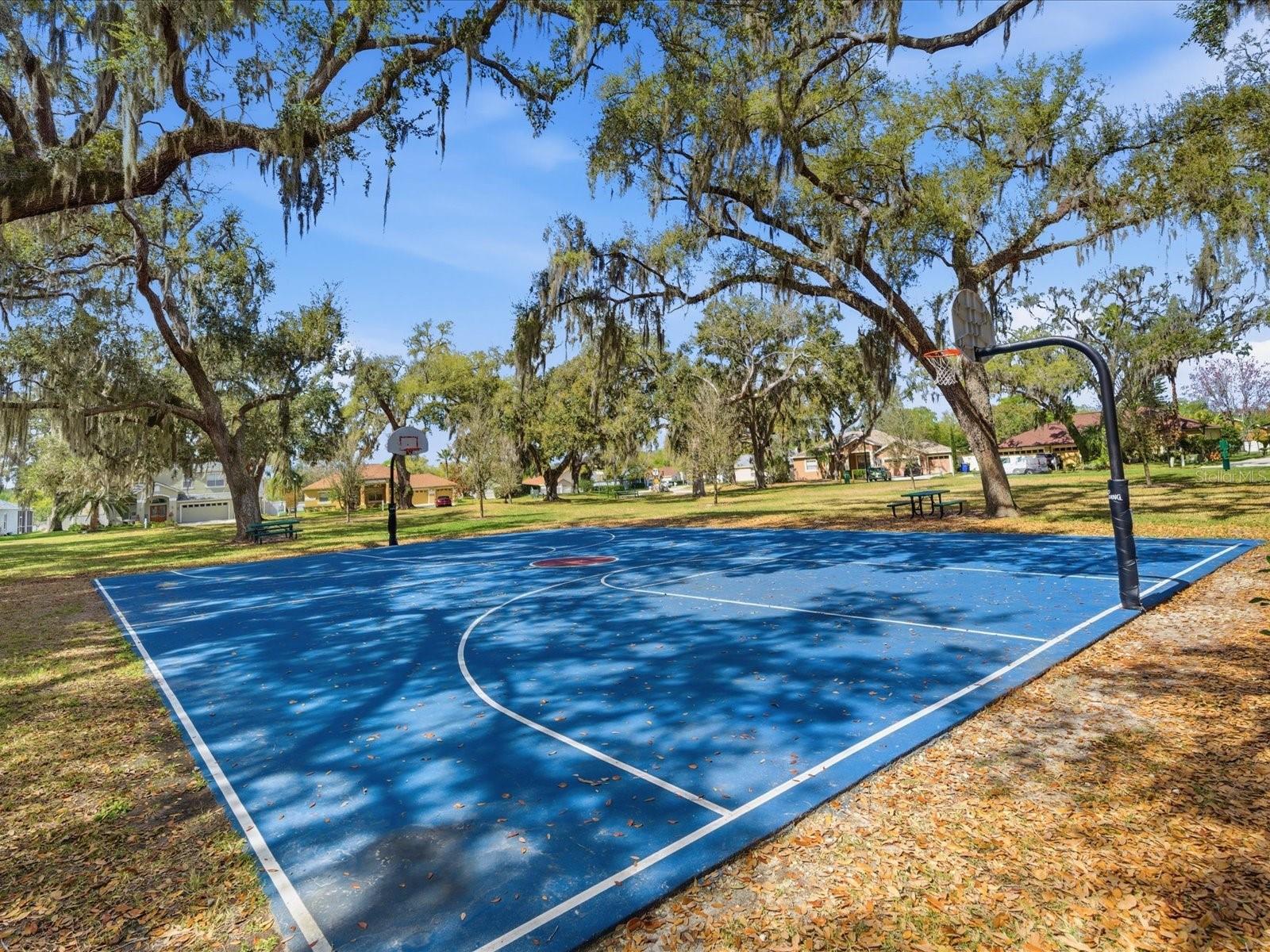 3825 GRAND FORKS DR, LAND O LAKES, FL, 34639