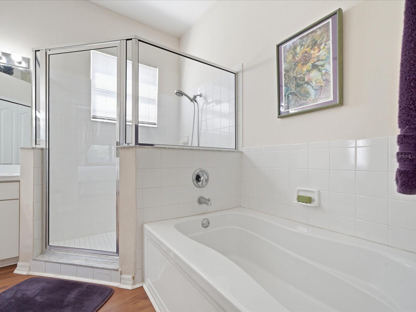 3825 GRAND FORKS DR, LAND O LAKES, FL, 34639