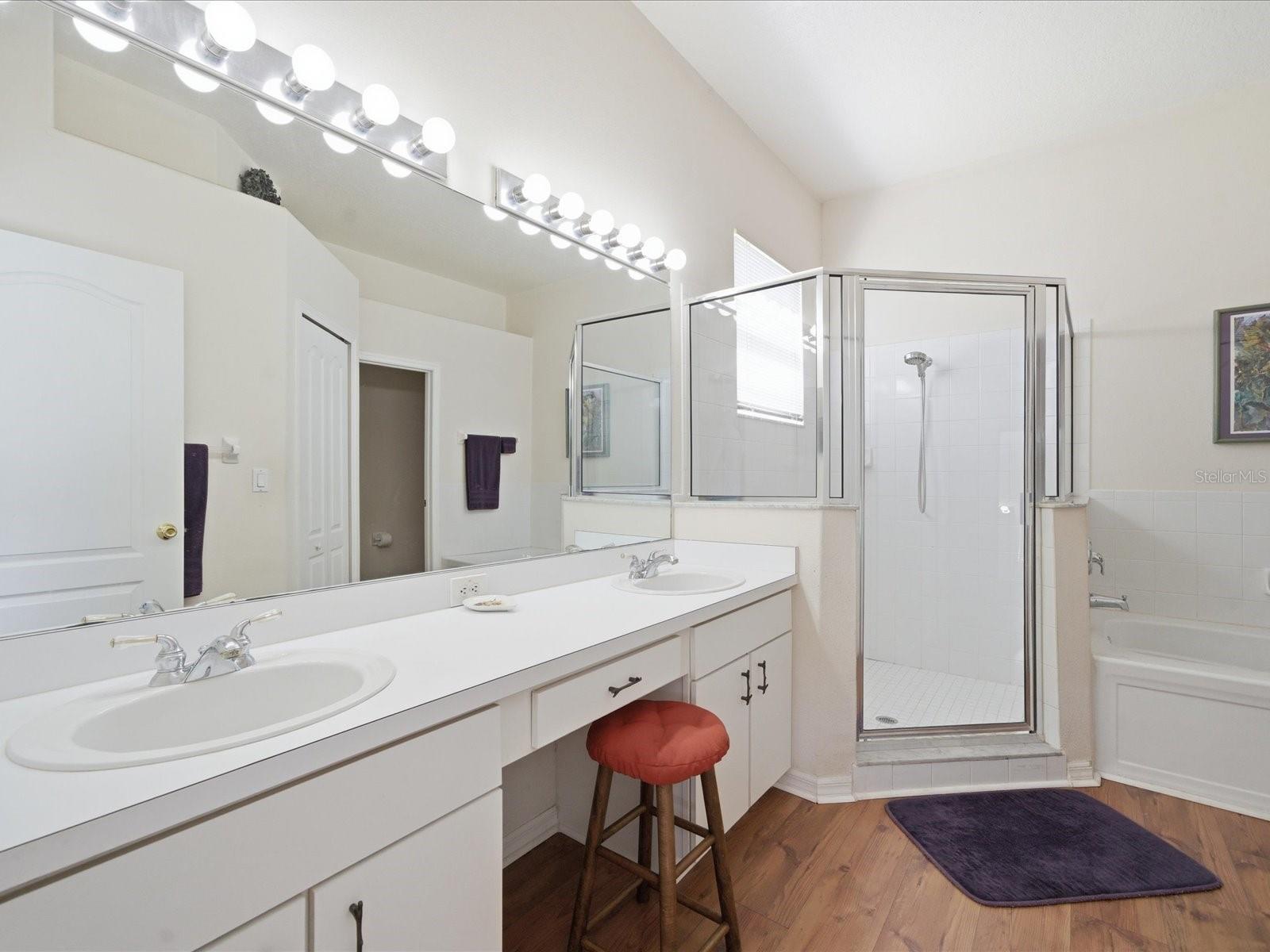 3825 GRAND FORKS DR, LAND O LAKES, FL, 34639