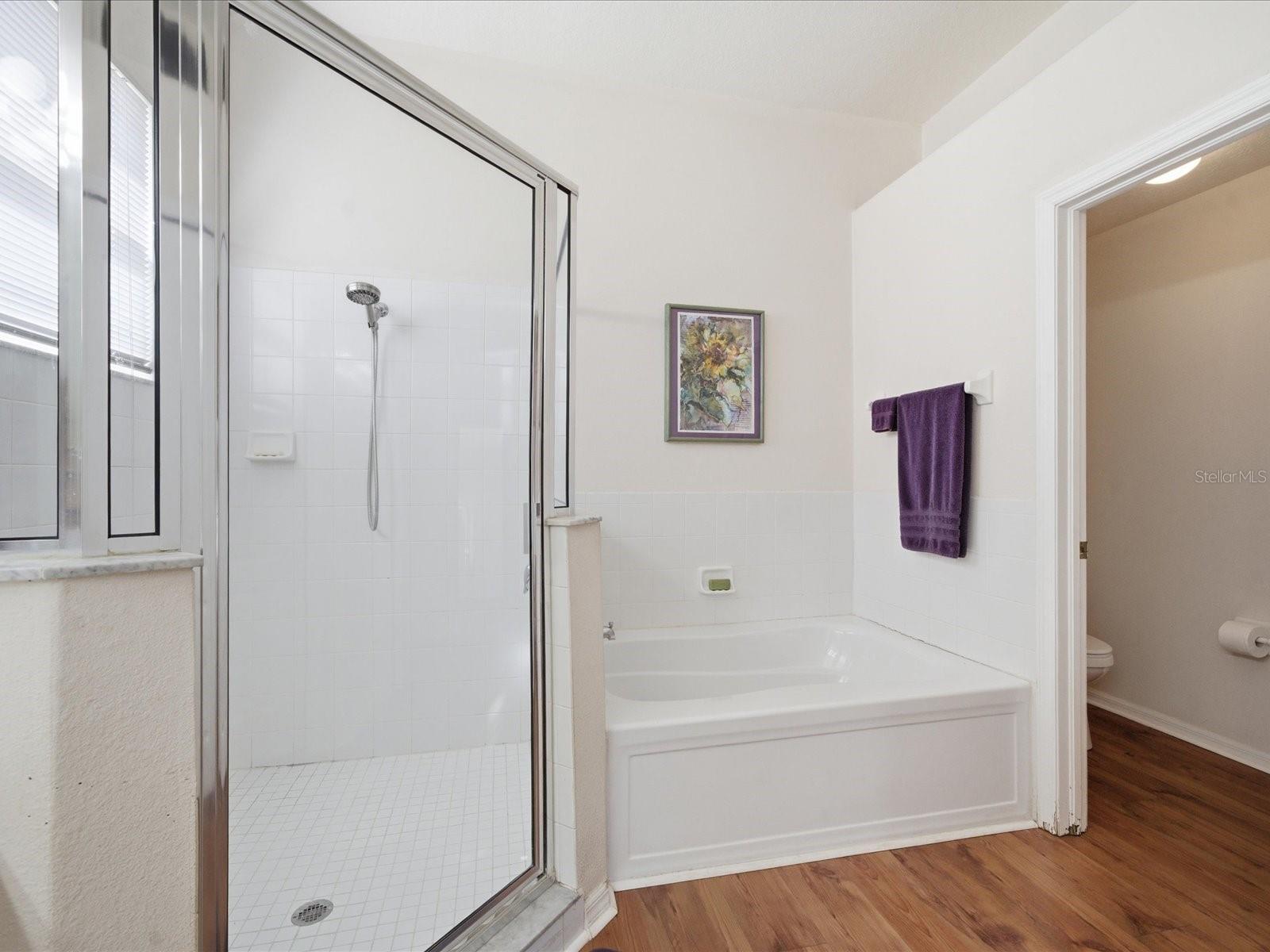 3825 GRAND FORKS DR, LAND O LAKES, FL, 34639