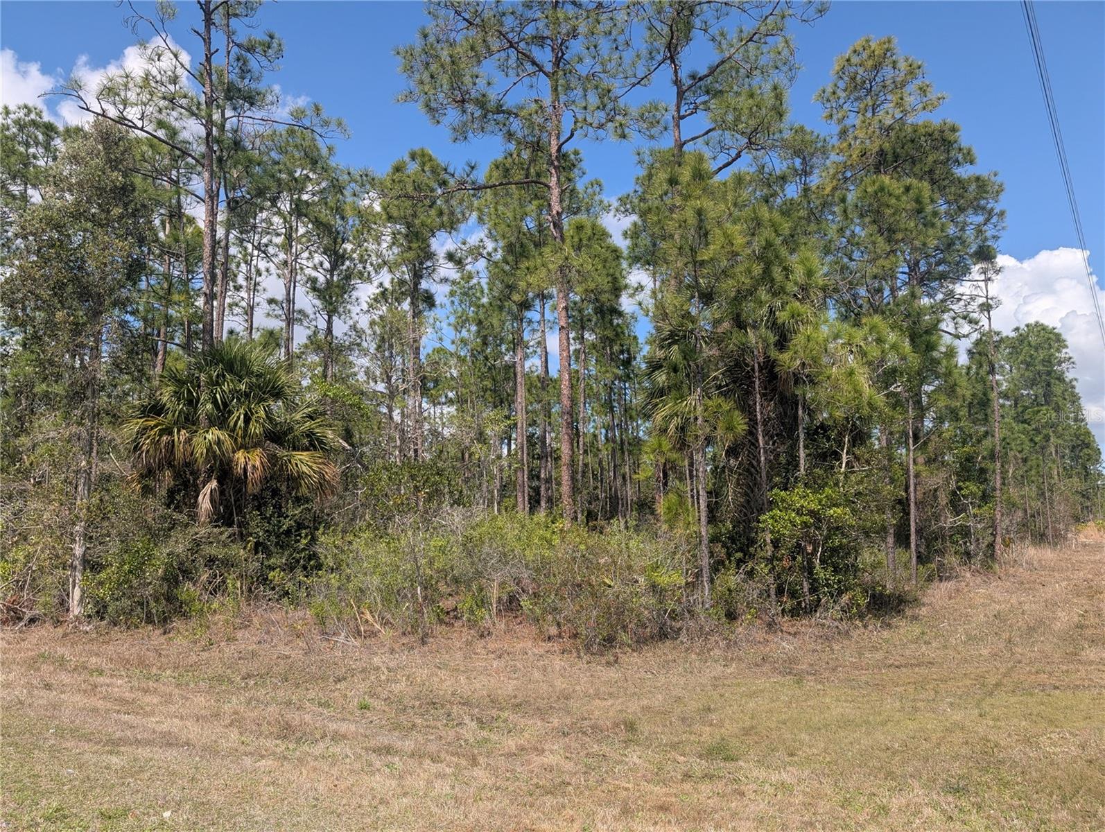 802 ALTHEA DR, INDIAN LAKE ESTATES, FL, 33855