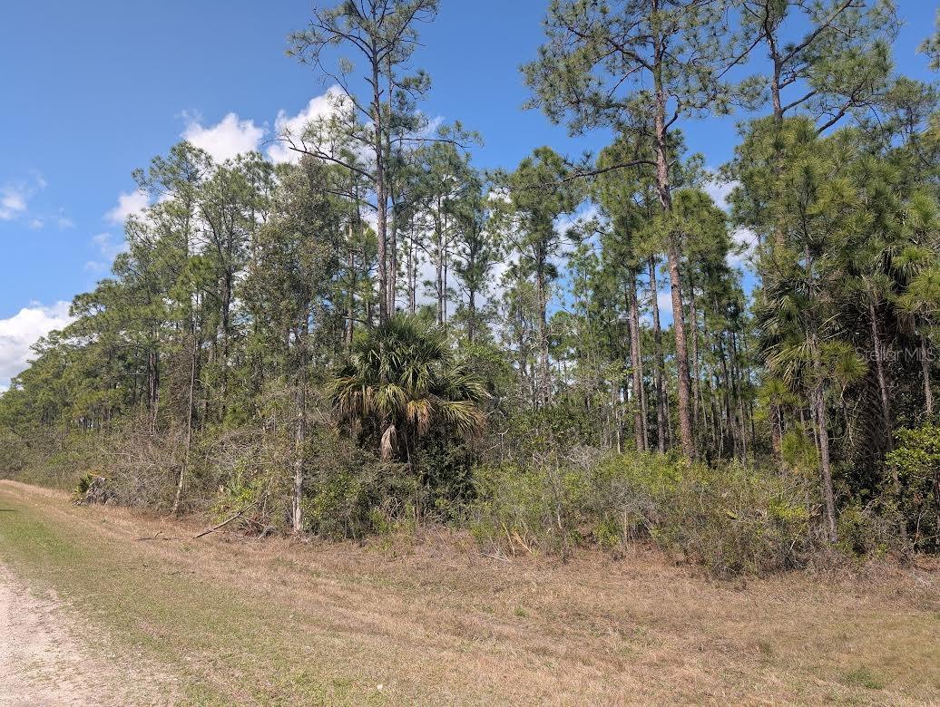802 ALTHEA DR, INDIAN LAKE ESTATES, FL, 33855