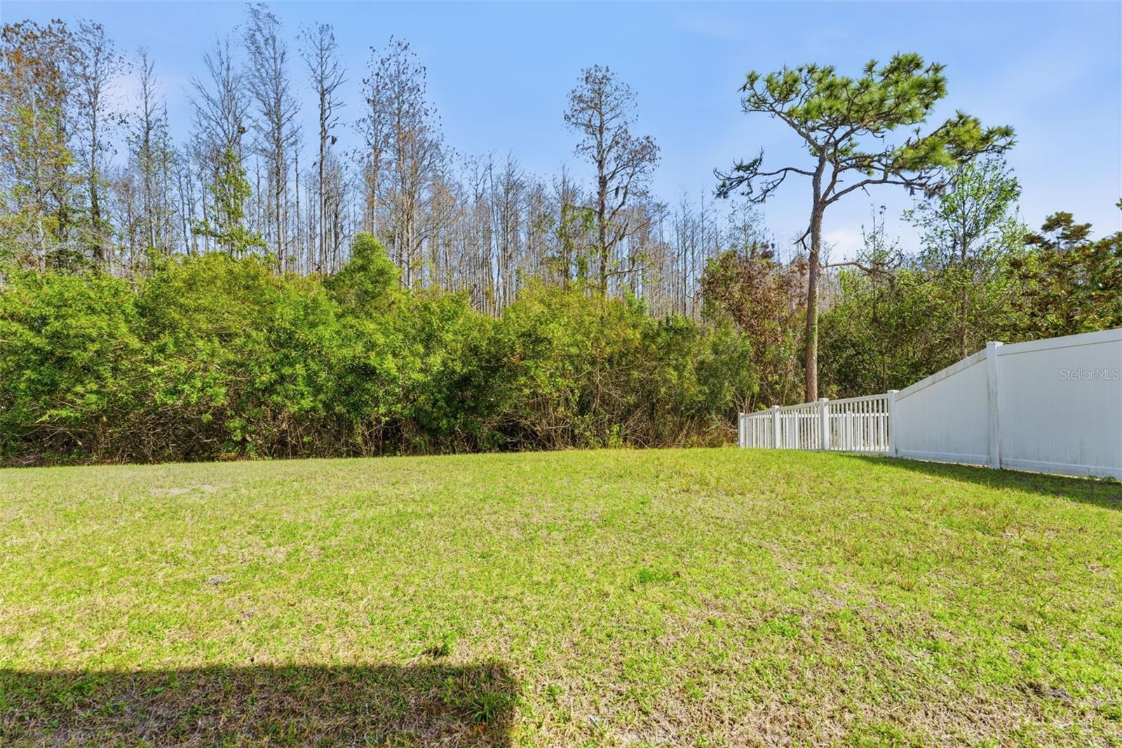 8322 EAGLE BROOK DR, LAND O LAKES, FL, 34638