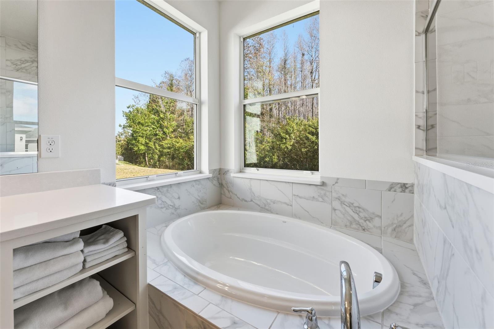 8322 EAGLE BROOK DR, LAND O LAKES, FL, 34638