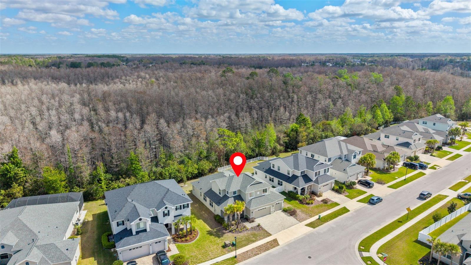 8322 EAGLE BROOK DR, LAND O LAKES, FL, 34638