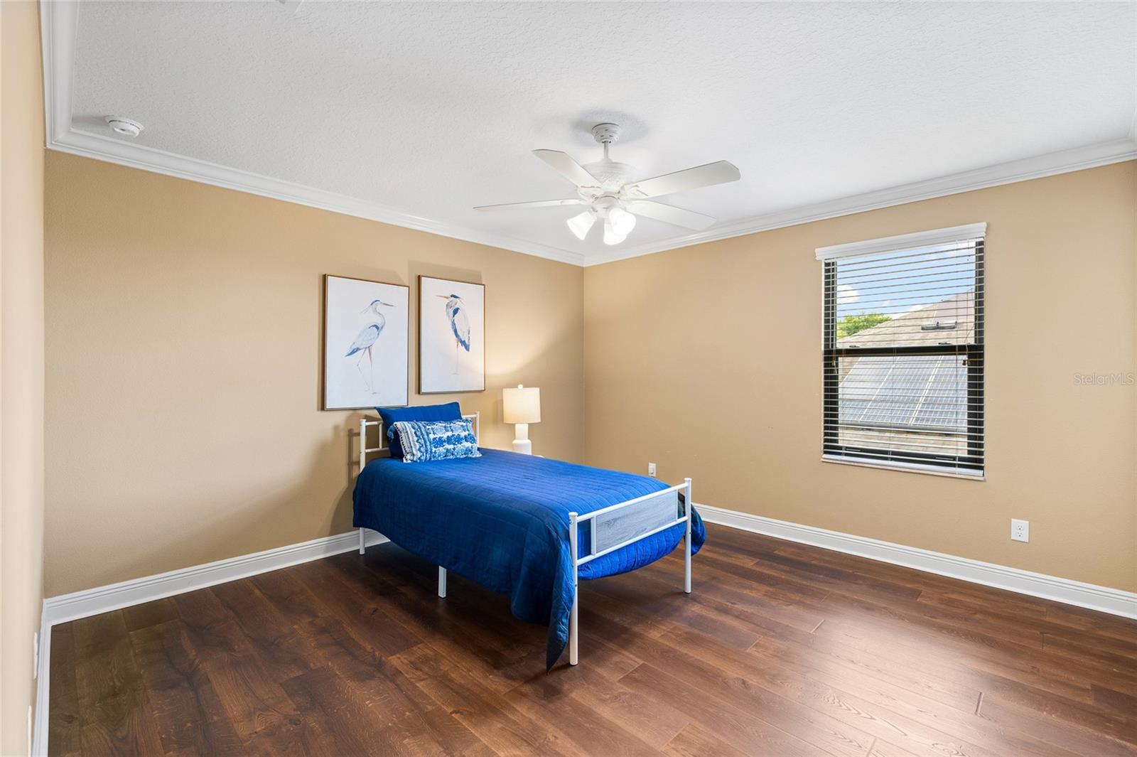 11741 ALBATROSS LN, RIVERVIEW, FL, 33569
