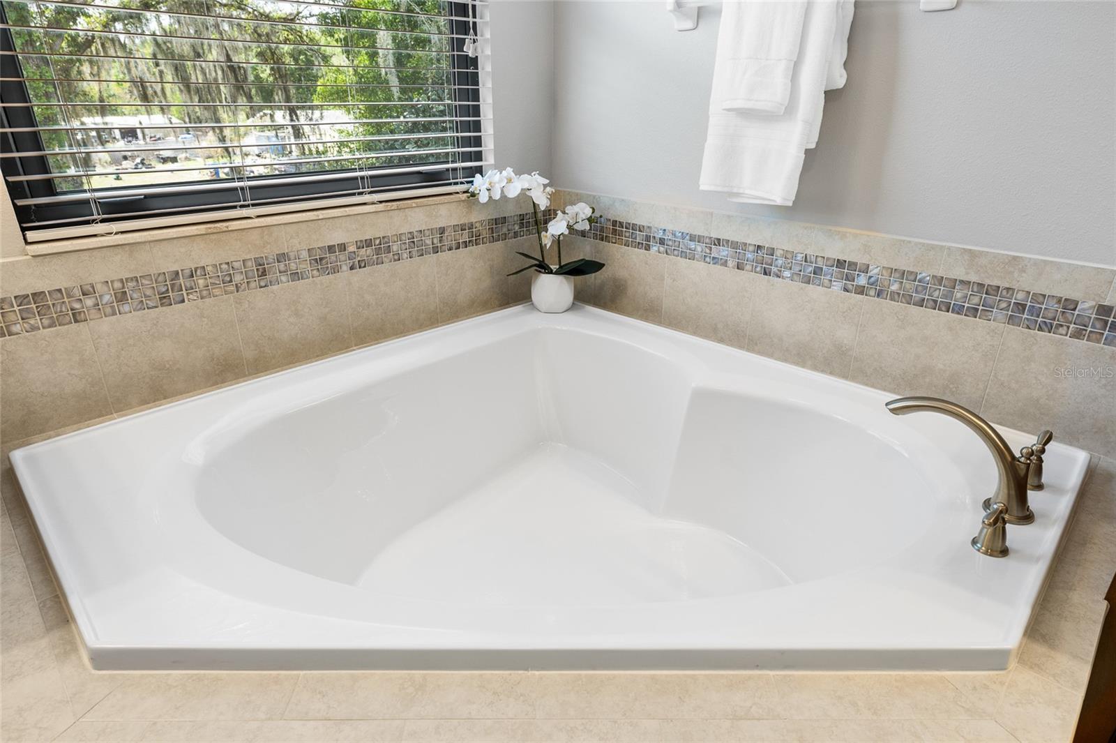 11741 ALBATROSS LN, RIVERVIEW, FL, 33569