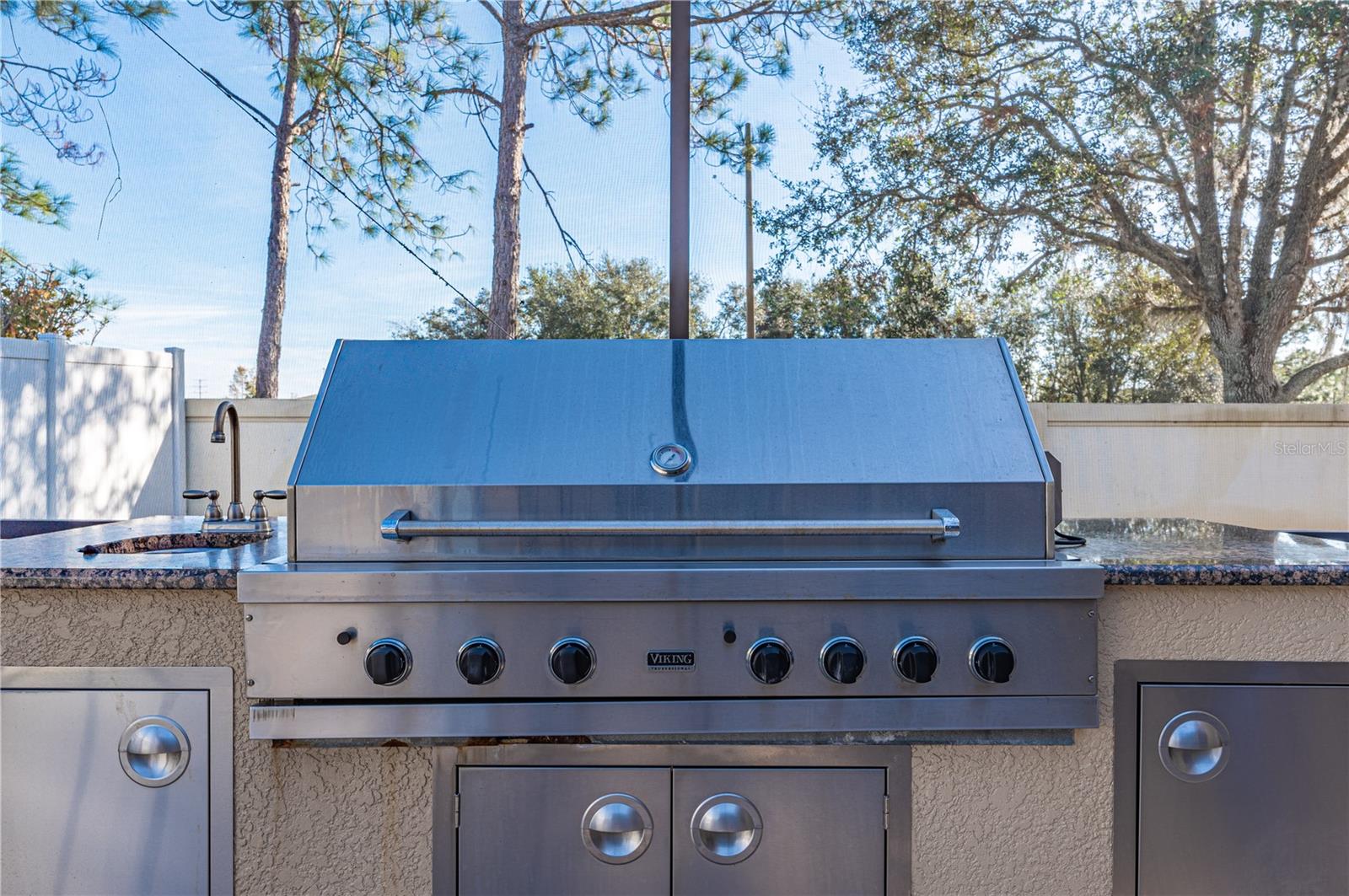 3602 JUNEBERRY DR, WESLEY CHAPEL, FL, 33543