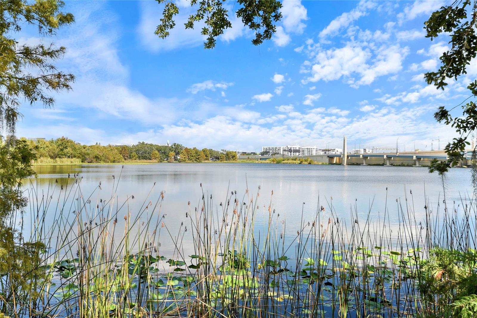 1110 SW IVANHOE BLVD #27, ORLANDO, FL, 32804