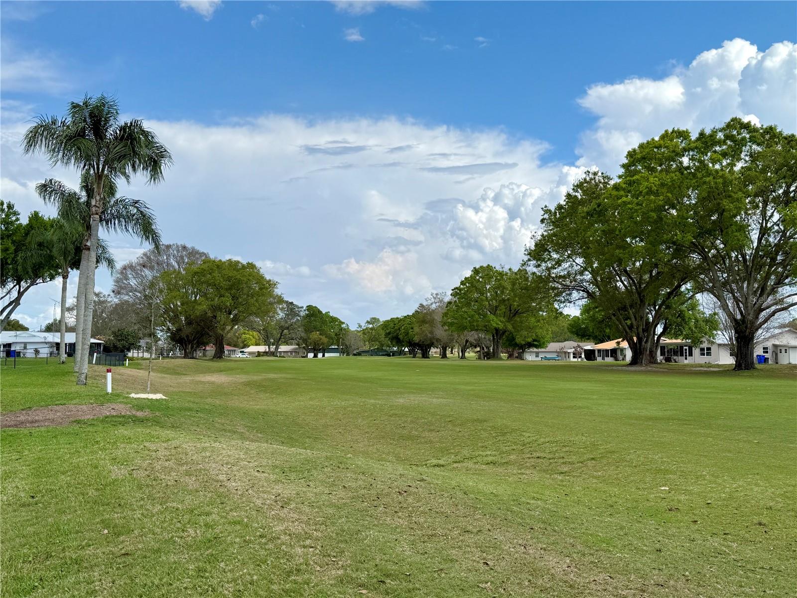 233 GREENSVIEW DR, AVON PARK, FL, 33825