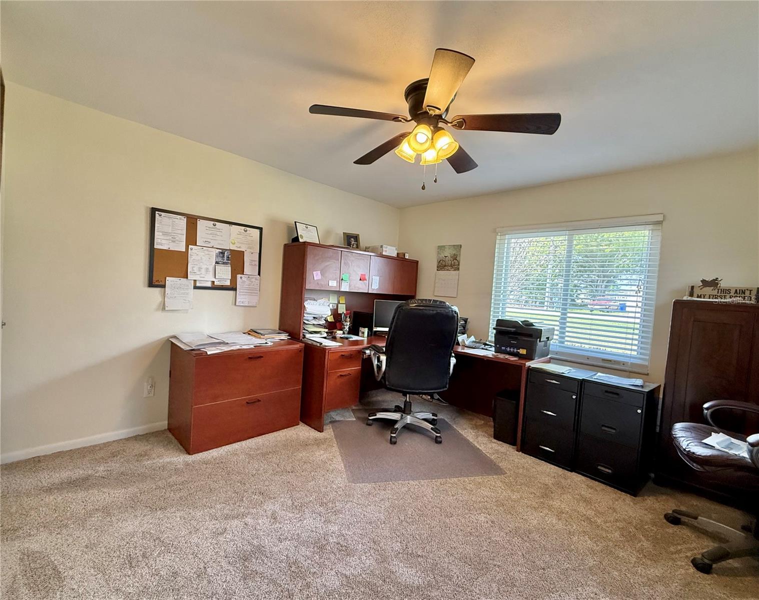 233 GREENSVIEW DR, AVON PARK, FL, 33825