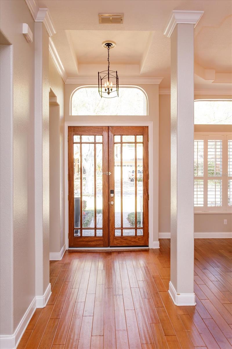 8816 GREAT COVE DR, ORLANDO, FL, 32819