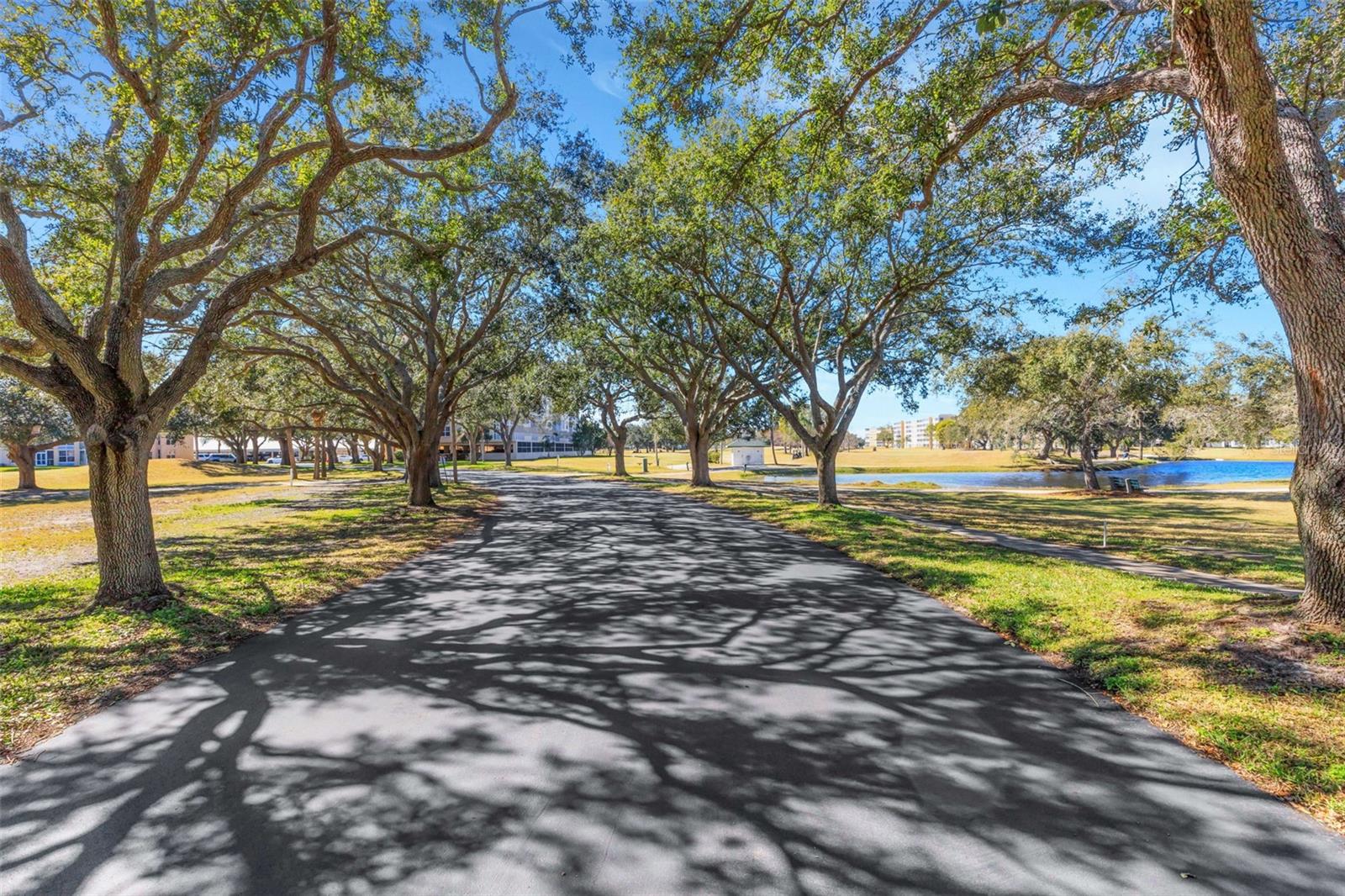 4460 FAIRWAYS BLVD #105, BRADENTON, FL, 34209