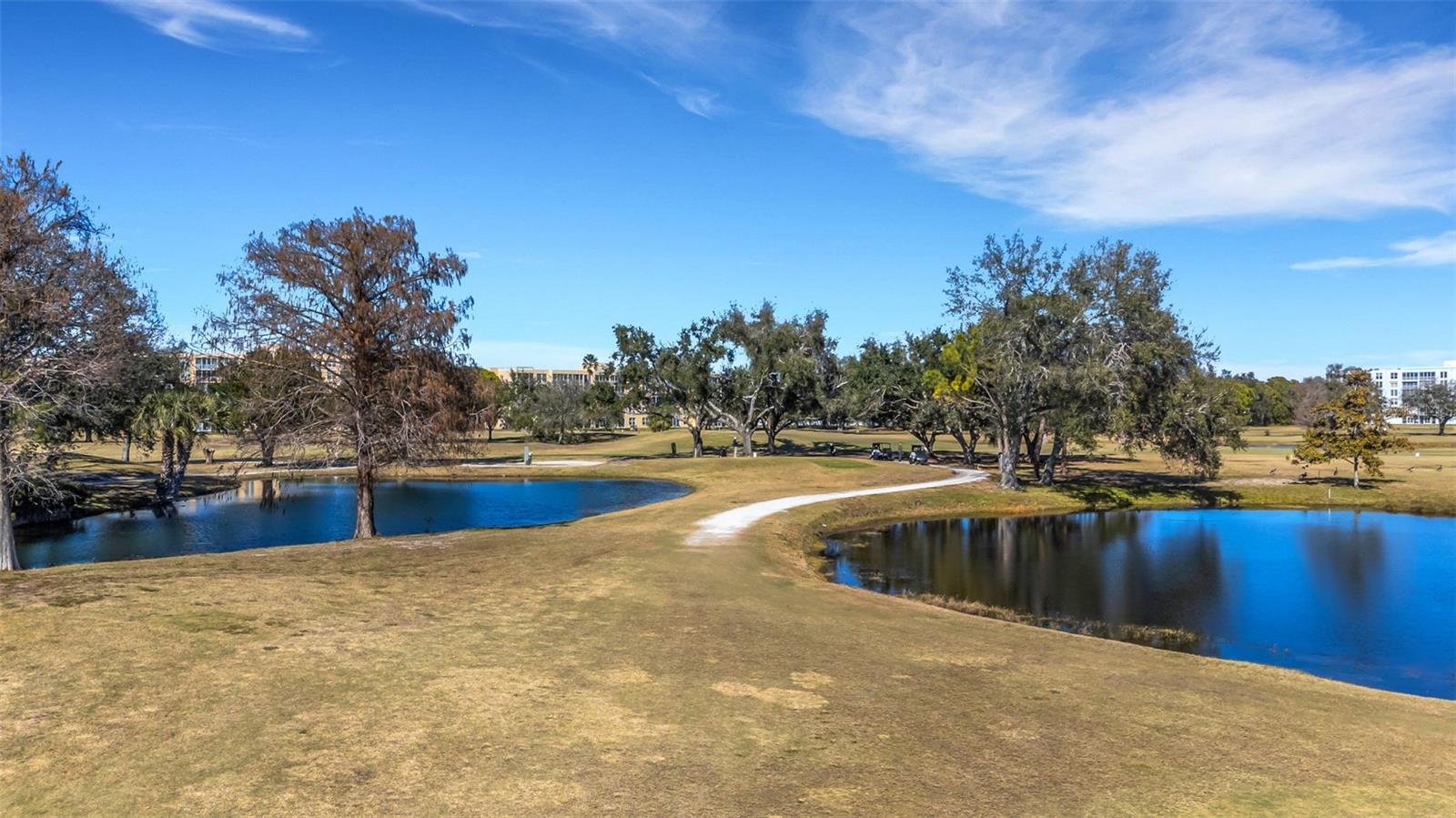 4460 FAIRWAYS BLVD #105, BRADENTON, FL, 34209