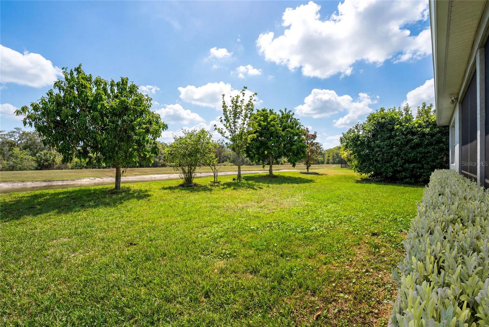 14505 WARD RD, ORLANDO, FL, 32824