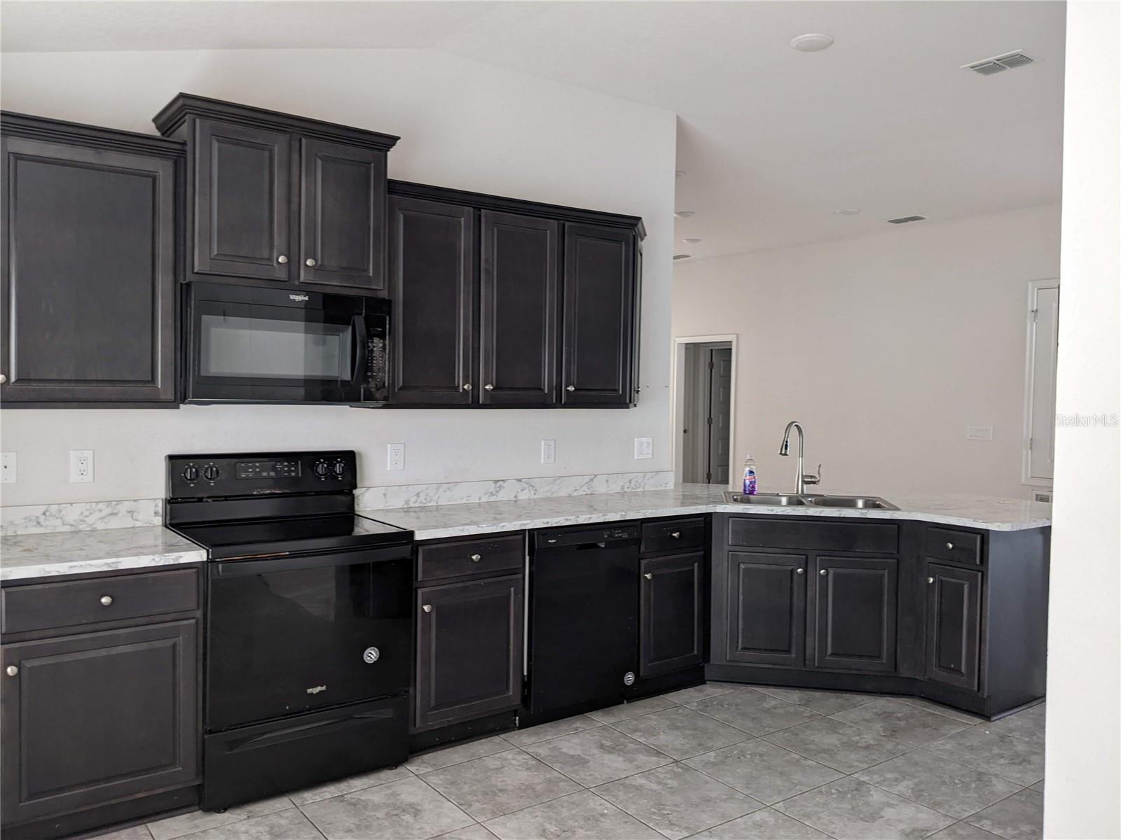 384 CITRUS POINTE DR, DAVENPORT, FL, 33837
