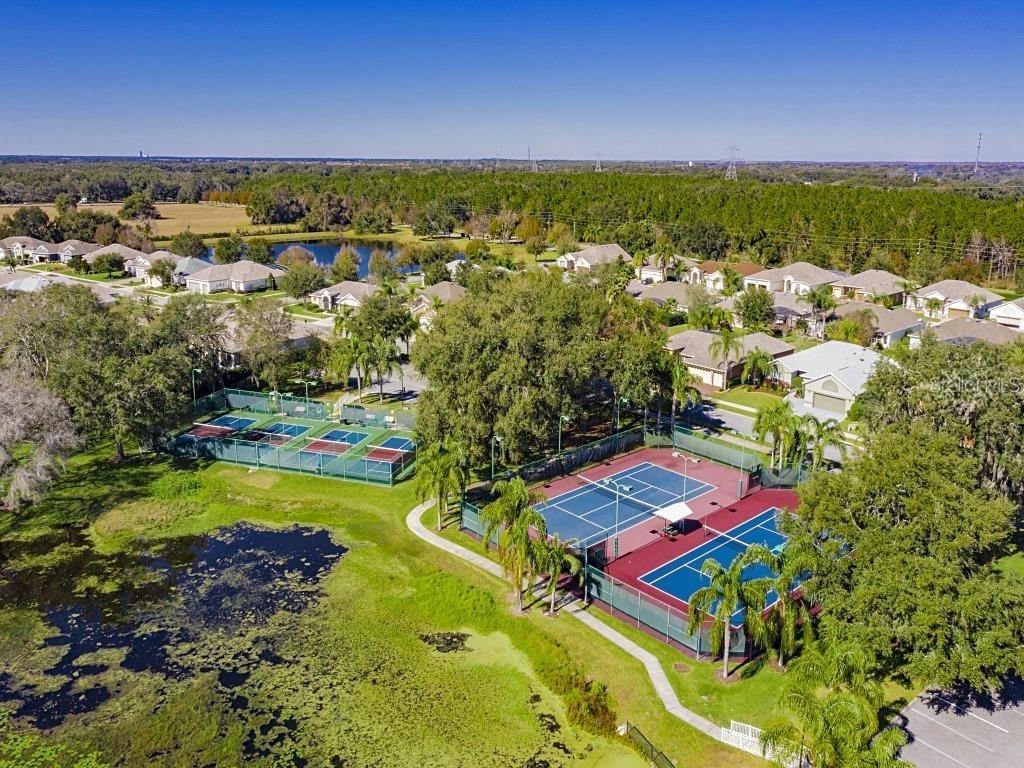 25312 GREEN HERON DR, LEESBURG, FL, 34748