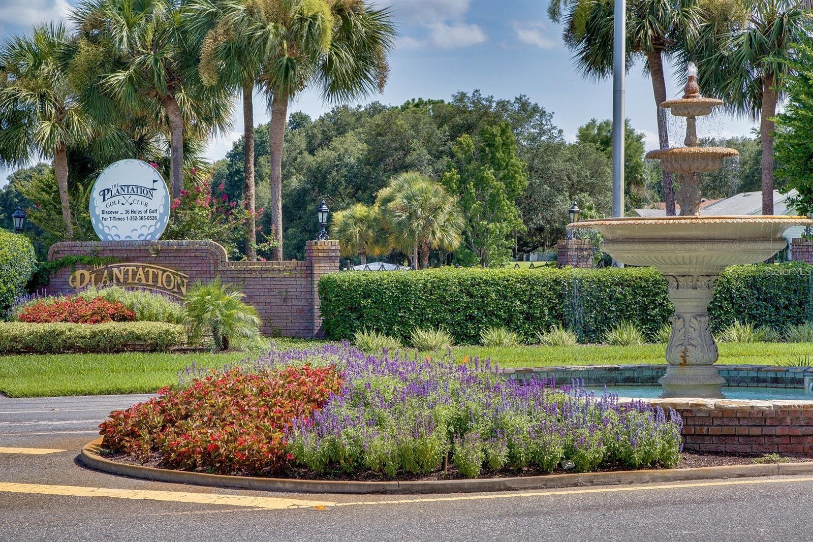 25312 GREEN HERON DR, LEESBURG, FL, 34748