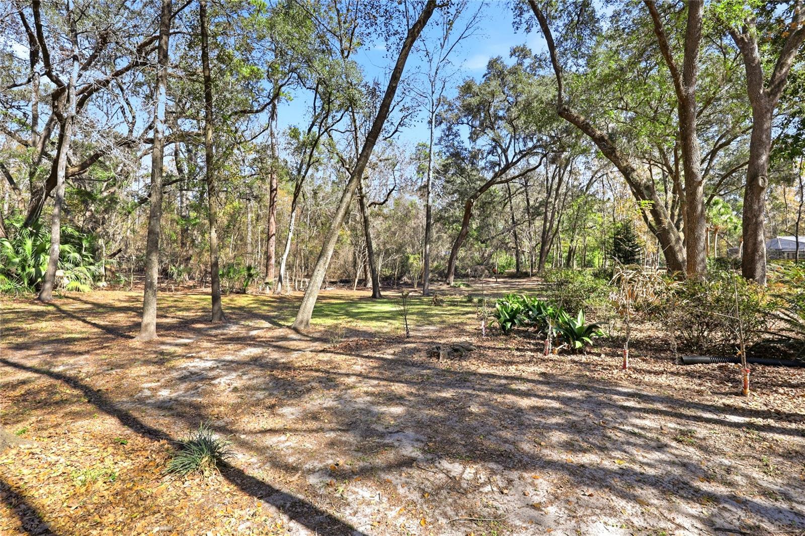 10320 SW 17TH PL, GAINESVILLE, FL, 32607
