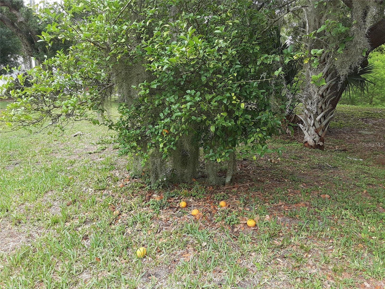 5619 COLONIAL OAKS BLVD, SARASOTA, FL, 34232