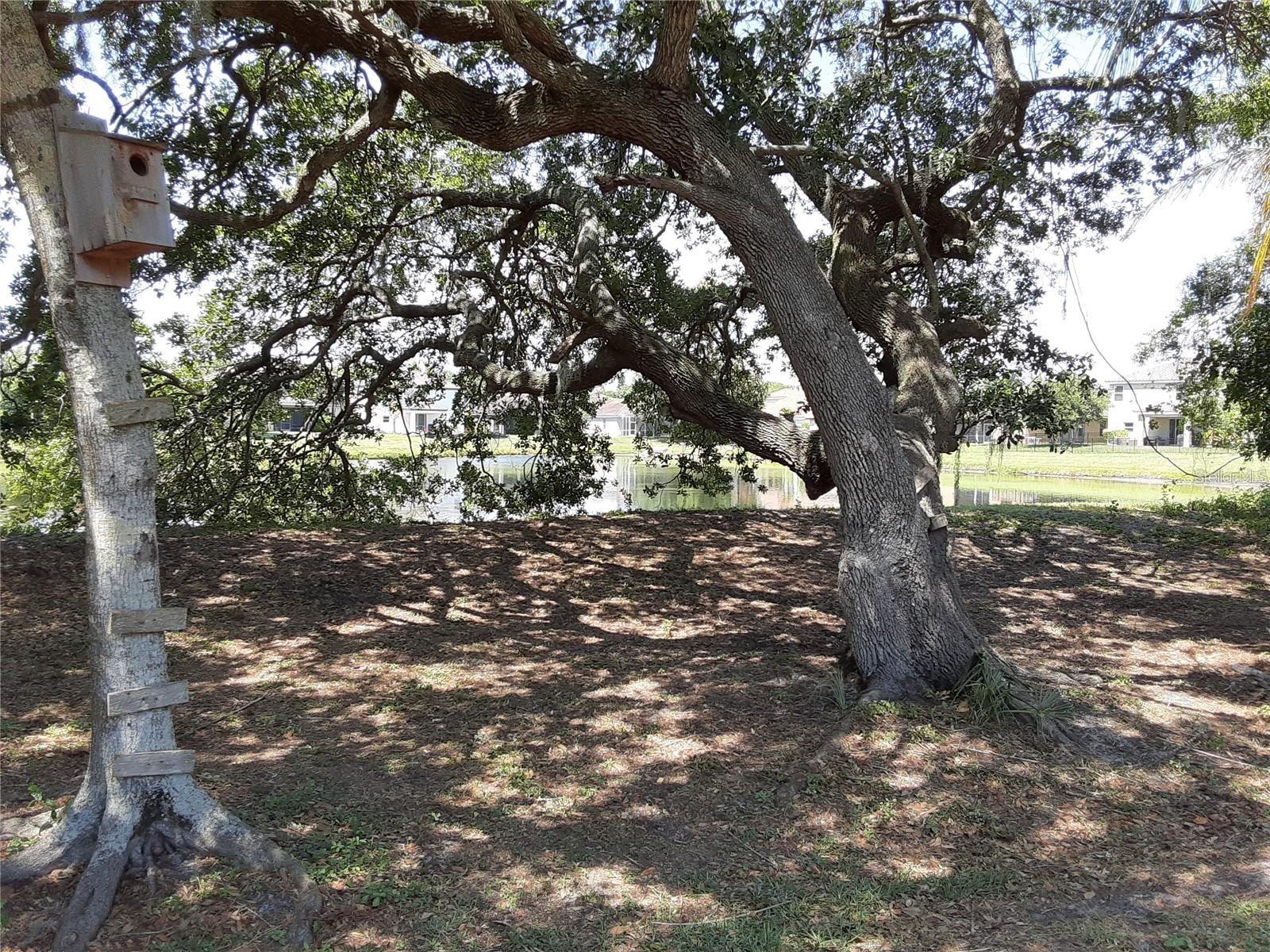 5619 COLONIAL OAKS BLVD, SARASOTA, FL, 34232