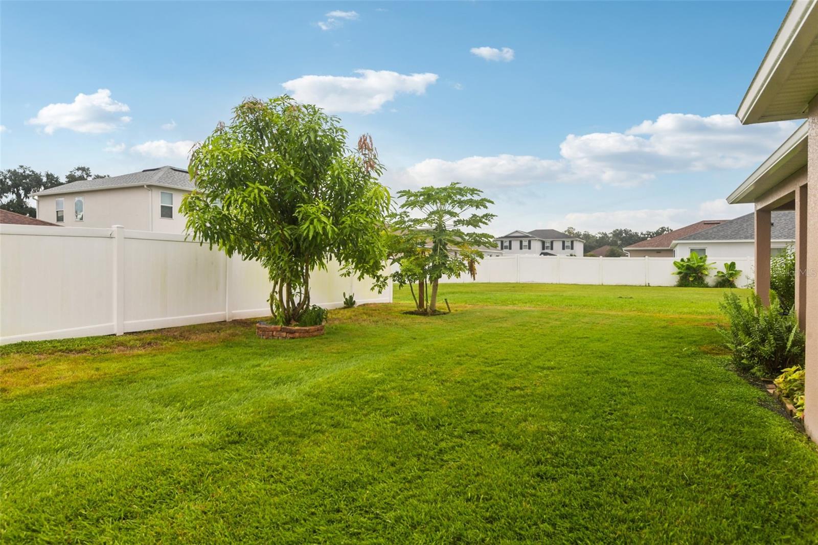 4248 MOON SHADOW LOOP, MULBERRY, FL, 33860