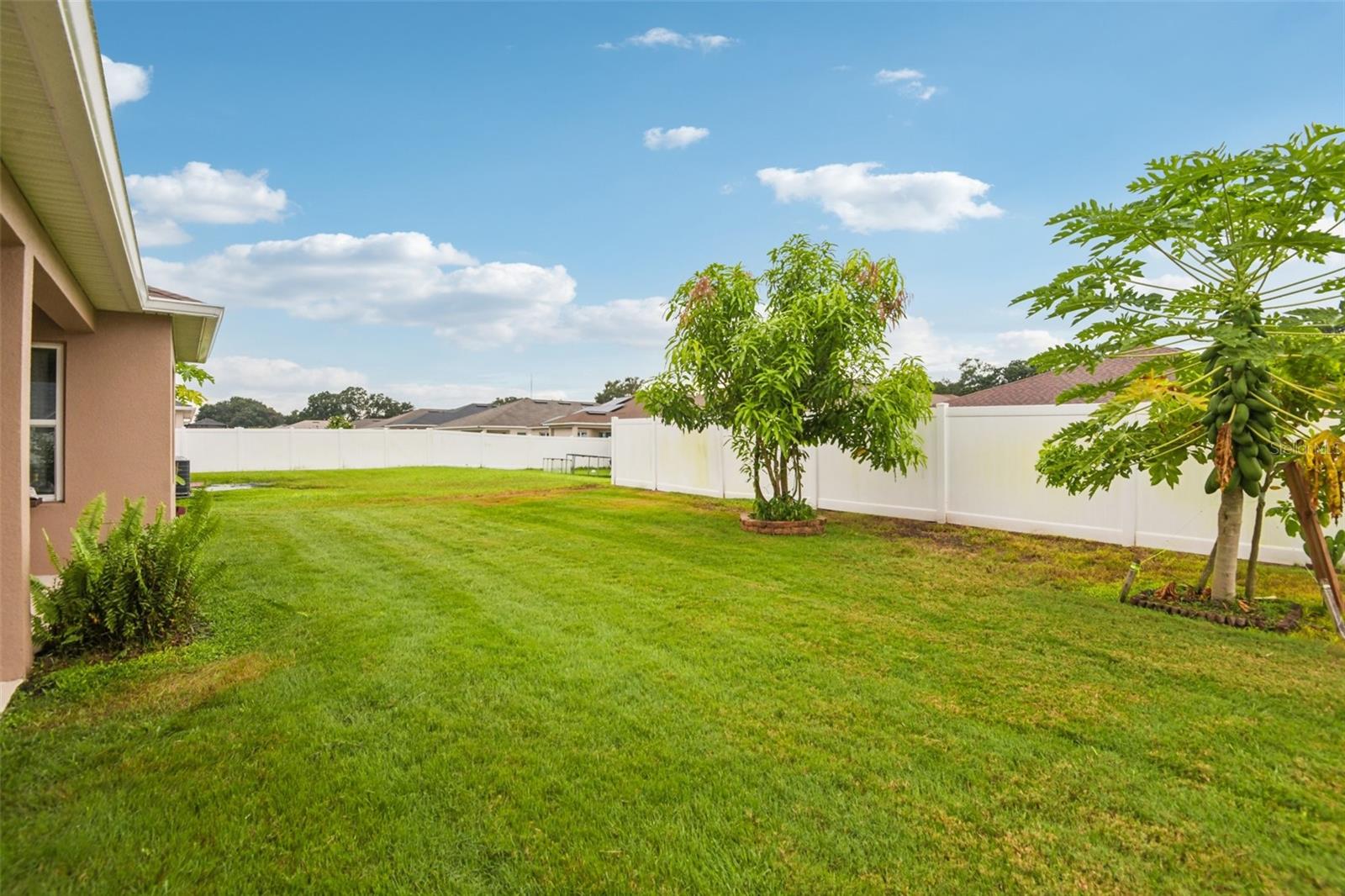 4248 MOON SHADOW LOOP, MULBERRY, FL, 33860